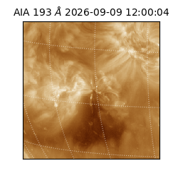saia - 2026-09-09T12:00:04.841000