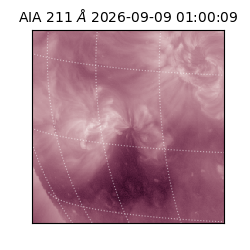 saia - 2026-09-09T01:00:09.623000