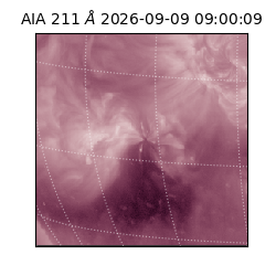 saia - 2026-09-09T09:00:09.624000