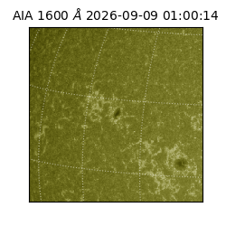 saia - 2026-09-09T01:00:14.124000