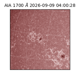 saia - 2026-09-09T04:00:28.716000