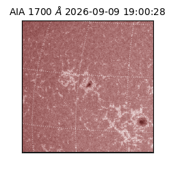 saia - 2026-09-09T19:00:28.716000