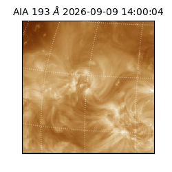 saia - 2026-09-09T14:00:04.842000