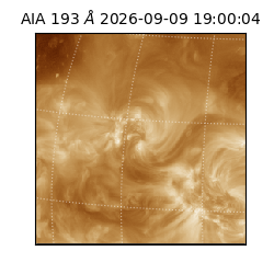 saia - 2026-09-09T19:00:04.842000