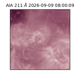 saia - 2026-09-09T08:00:09.623000