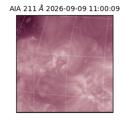saia - 2026-09-09T11:00:09.624000