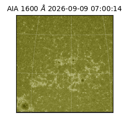 saia - 2026-09-09T07:00:14.123000