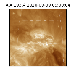 saia - 2026-09-09T09:00:04.842000
