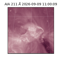 saia - 2026-09-09T11:00:09.624000