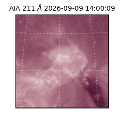 saia - 2026-09-09T14:00:09.624000