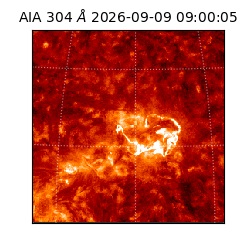 saia - 2026-09-09T09:00:05.128000