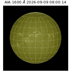 saia - 2026-09-09T08:00:14.122000