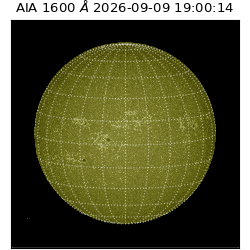 saia - 2026-09-09T19:00:14.123000