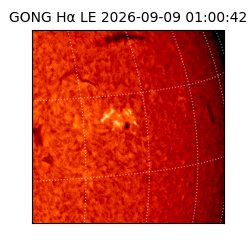 gong - 2026-09-09T01:00:42