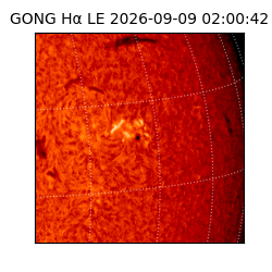 gong - 2026-09-09T02:00:42