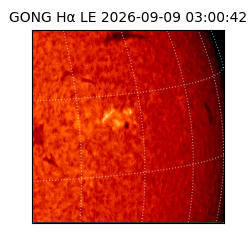 gong - 2026-09-09T03:00:42