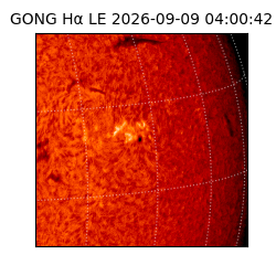 gong - 2026-09-09T04:00:42