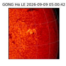 gong - 2026-09-09T05:00:42