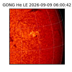 gong - 2026-09-09T06:00:42