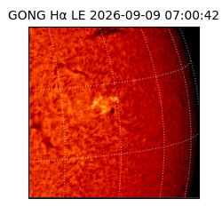 gong - 2026-09-09T07:00:42