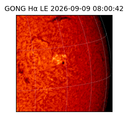 gong - 2026-09-09T08:00:42