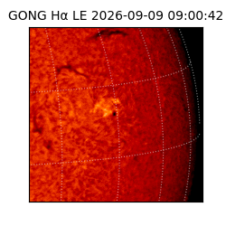 gong - 2026-09-09T09:00:42