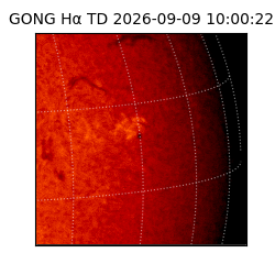 gong - 2026-09-09T10:00:22