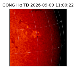 gong - 2026-09-09T11:00:22