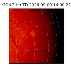 gong - 2026-09-09T14:00:22