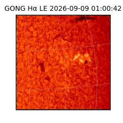gong - 2026-09-09T01:00:42