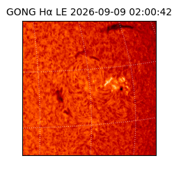 gong - 2026-09-09T02:00:42