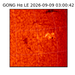 gong - 2026-09-09T03:00:42