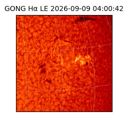 gong - 2026-09-09T04:00:42