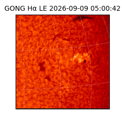 gong - 2026-09-09T05:00:42