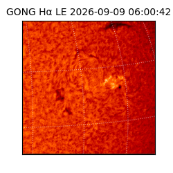 gong - 2026-09-09T06:00:42