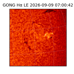 gong - 2026-09-09T07:00:42