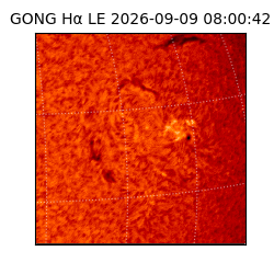 gong - 2026-09-09T08:00:42