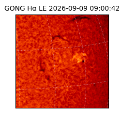 gong - 2026-09-09T09:00:42