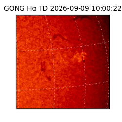 gong - 2026-09-09T10:00:22