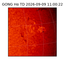 gong - 2026-09-09T11:00:22