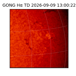 gong - 2026-09-09T13:00:22