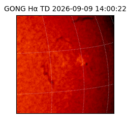 gong - 2026-09-09T14:00:22