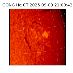 gong - 2026-09-09T21:00:42