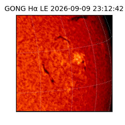 gong - 2026-09-09T23:12:42