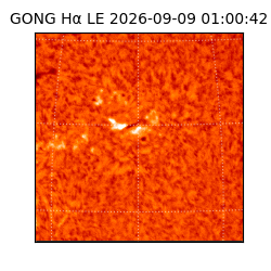 gong - 2026-09-09T01:00:42