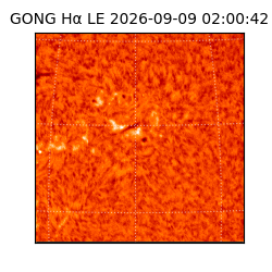 gong - 2026-09-09T02:00:42