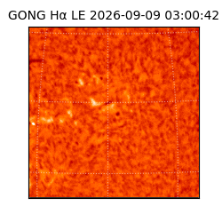 gong - 2026-09-09T03:00:42