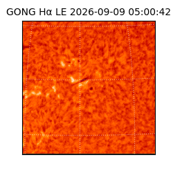 gong - 2026-09-09T05:00:42