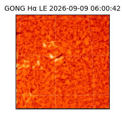 gong - 2026-09-09T06:00:42