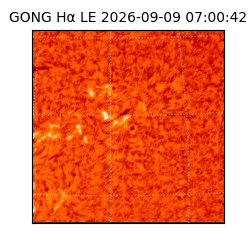 gong - 2026-09-09T07:00:42